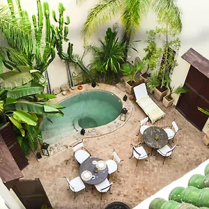 Riad Les Ammonites And, Marrakesh
